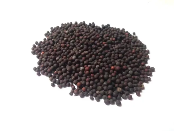 Vinarghya_–_Vidanga/_Vavding/_Vizalari/_Wawerung/_Amogha/_Baobadang/_Ambati/_Vayuvidangam/_Embelia_Ribes/_False_Black_Peper/_विडंग_वावडिंग_–_400G