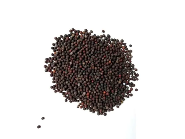 Vinarghya_–_Vidanga/_Vavding/_Vizalari/_Wawerung/_Amogha/_Baobadang/_Ambati/_Vayuvidangam/_Embelia_Ribes/_False_Black_Peper/_विडंग_वावडिंग_–_400G