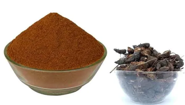 Vinarghya_–_Nut_Grass_Powder/_Nagarmotha_Churna/_Java_Grass/_Purple_Nutsedge/_So_Ab_Kufi/_Musta/_Cyperus_Rotundus/_नागरमोथा_–_200G