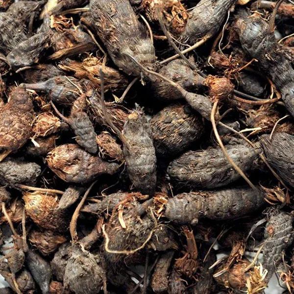 Vinarghya_–_Nut_Grass/_Nagarmotha/_Java_Grass/_Purple_Nutsedge/_So_Ab_Kufi/_Musta/_Cyperus_Rotundus/_नागरमोथा_–_900G
