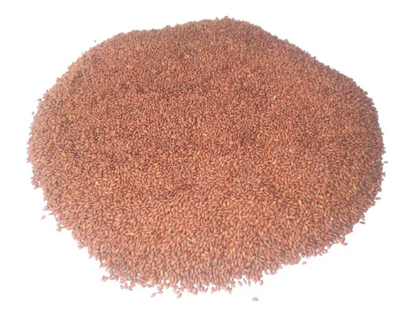 Vinarghya_–_Ahing/_Chothalu/_Halu/_Garden_Cress/_Halim/_Aliv/_Asaliya_Seed/_Haleem/_अहिंग_–_100G
