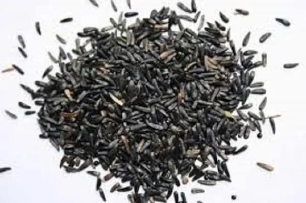 Vinarghya_–_Karale/_Karhale/_Karal/_Ramtil/_Blackseed/_Surguja/_Valesulu/_Payellu/_Niger_Seeds/_Yamitilla/_कराल_–900_G