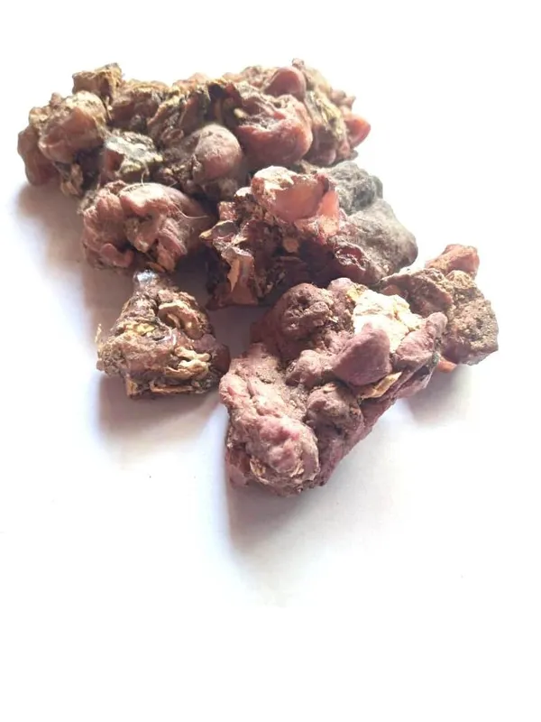 Vinarghya_–_Arecanut/_Supari_Phul/_Phool_Supari_Lal/_Sonjana/_Surajana/_Sondhana/_Drum_Stick_Gum/_Sahjan/_Munge/_Munga/_Shobhanjana_–_900G