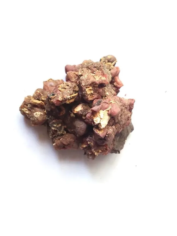 Vinarghya_–_Arecanut/_Supari_Phul/_Phool_Supari_Lal/_Sonjana/_Surajana/_Sondhana/_Drum_Stick_Gum/_Sahjan/_Munge/_Munga/_Shobhanjana_–_900G