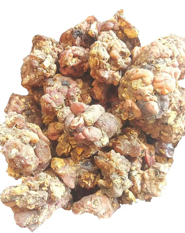 Vinarghya_–_Arecanut/_Supari_Phul/_Phool_Supari_Lal/_Sonjana/_Surajana/_Sondhana/_Drum_Stick_Gum/_Sahjan/_Munge/_Munga/_Shobhanjana_–_900G