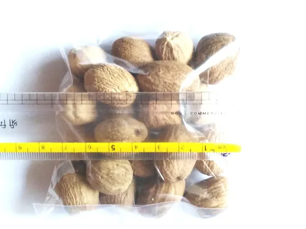 Vinarghya_–_Nutmeg/_Jaiphal/_Myristica_Fragrans/_Jaifal/_Jatiphala/_Jayfar/_Jadikai/_Jafal/_Jatika/_जायफल_–_900G