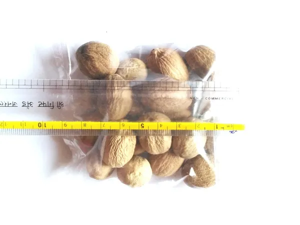 Vinarghya_–_Nutmeg/_Jaiphal/_Myristica_Fragrans/_Jaifal/_Jatiphala/_Jayfar/_Jadikai/_Jafal/_Jatika/_जायफल_–_900G
