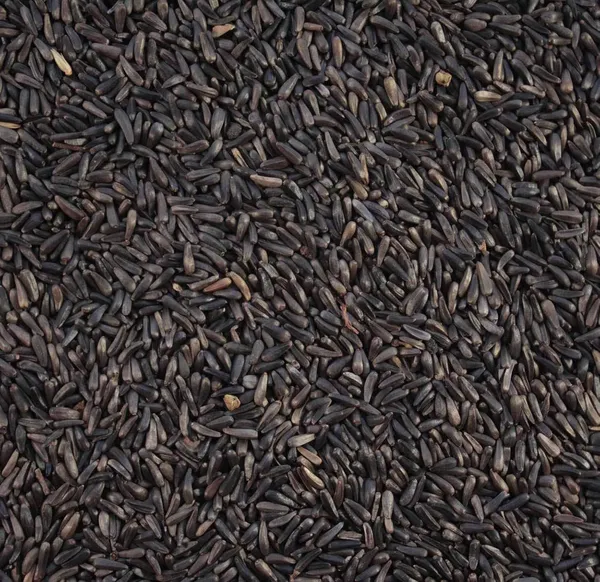 Vinarghya_–_Karale/_Karhale/_Karal/_Ramtil/_Blackseed/_Surguja/_Valesulu/_Payellu/_Niger_Seeds/_Yamitilla/_कराल_–_100_G