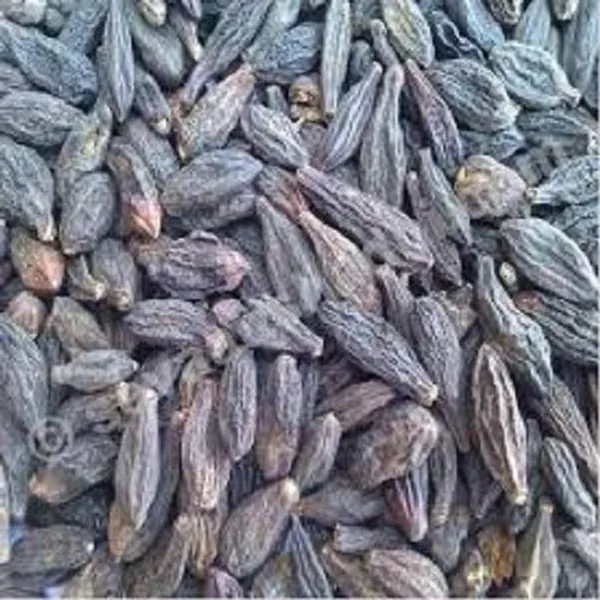 Vinarghya_–_Myrobalan/_Bal_Harada/_Choti_Harad/_Hirdo/_Harana/_Aiate/_Harade/_Hirda/_Divya/_Kadukkai/_Haritaki/_Karitaki/_बाल_हरड़ा_–_900G