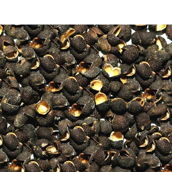 Vinarghya_–_Tirfala/_Trifala_Spice/_Teppal/_Indian_Sichuan_Pepper_Corn/_Tirfala/_Tirphala/_Tefla/_Chirphala/_Tejovati/_Tumbru_Fruit/_Tilfda_–_100_Gm