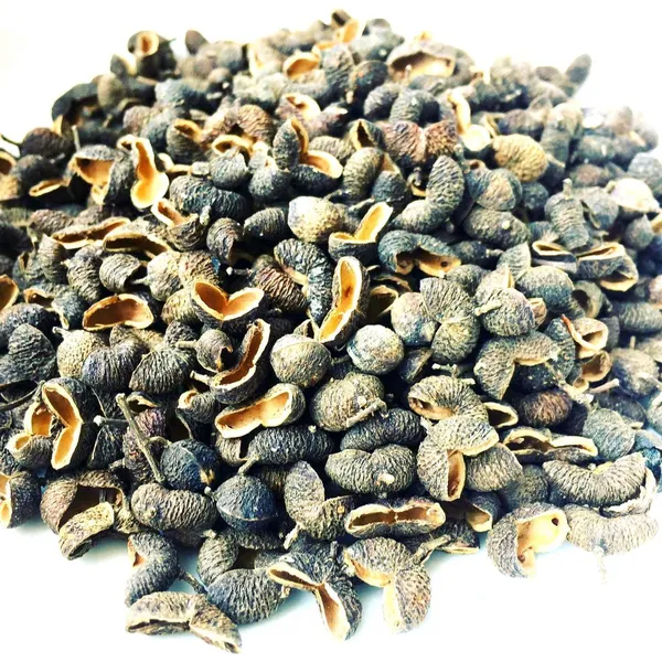 Vinarghya_–_Tirfala/_Trifala_Spice/_Teppal/_Indian_Sichuan_Pepper_Corn/_Tirfala/_Tirphala/_Tefla/_Chirphala/_Tejovati/_Tumbru_Fruit/_Tilfda_–_100_Gm