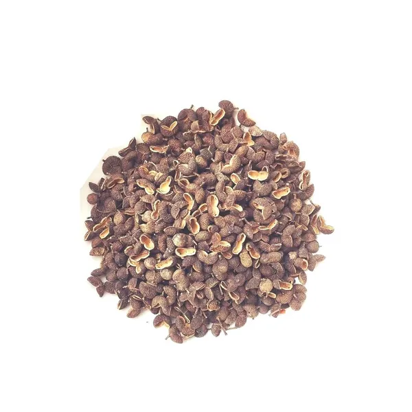 Vinarghya_–_Tirfala/_Trifala_Spice/_Teppal/_Indian_Sichuan_Pepper_Corn/_Tirfala/_Tirphala/_Tefla/_Chirphala/_Tejovati/_Tumbru_Fruit/_Tilfda_–_100_Gm