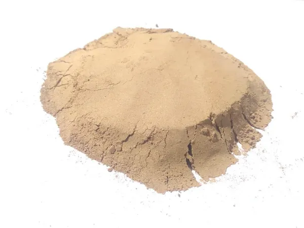 Vinarghya_–_Putravanti_Powder/_Jiyaputa/_Putrajivak/_Lucky_Bean_Tree/_Putranjeev/_Putranjiva_Roxburghil/_Aman/_Puttilanni/_Jivanputra/_Putranibi/_Pomkalam_–_100_Gm