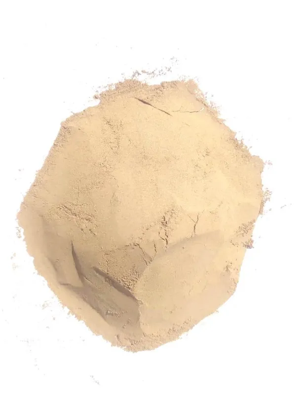Vinarghya_–_Putravanti_Powder/_Jiyaputa/_Putrajivak/_Lucky_Bean_Tree/_Putranjeev/_Putranjiva_Roxburghil/_Aman/_Puttilanni/_Jivanputra/_Putranibi/_Pomkalam_–_100_Gm