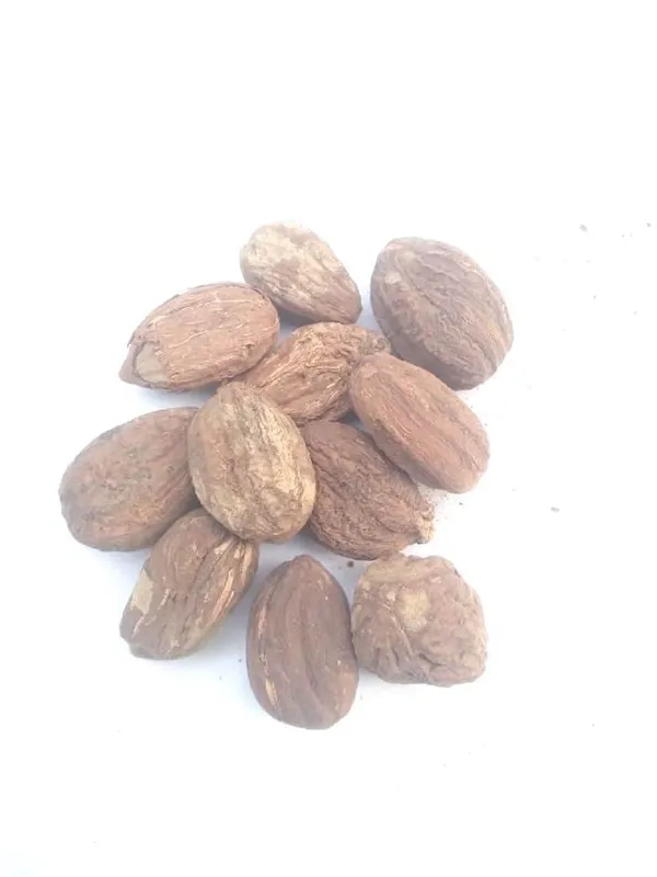 Vinarghya_–_Salam_Gatta/_Salab_Gatta/_Salam_Gutta/_Saalab_Gattha/_Salep_Orchid_Root/_Orchis_Mascula/_Fingerwurz/_Khaya_Rubah/_Munjataka/_Khusyatus_Salab_–_20G