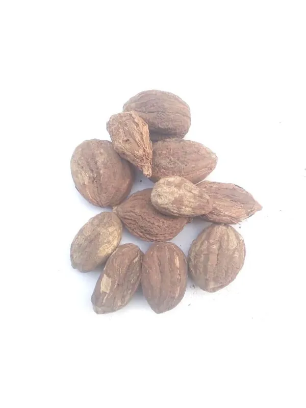 Vinarghya_–_Salam_Gatta/_Salab_Gatta/_Salam_Gutta/_Saalab_Gattha/_Salep_Orchid_Root/_Orchis_Mascula/_Fingerwurz/_Khaya_Rubah/_Munjataka/_Khusyatus_Salab_–_20G