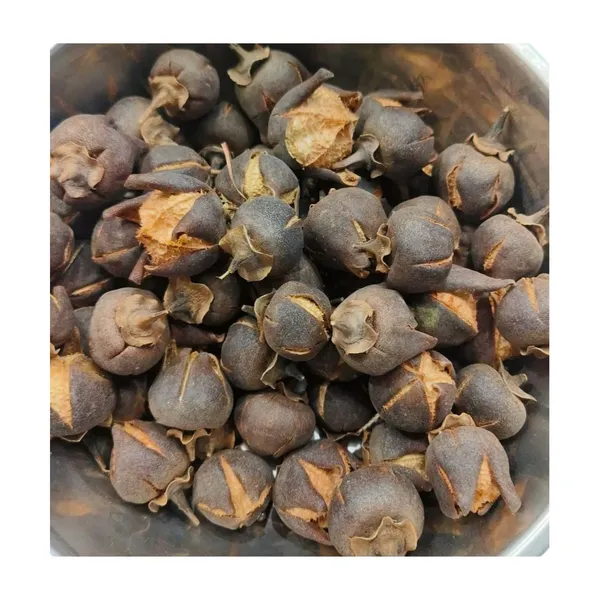 Vinarghya_–_Paras_Phal/_Indian_Tulip_Tree/_Paras_Pipal_Fal/_Paras_Piplo/_Paraspipul/_Bugari/_Cheelaanthi/_Aashta/_Charudaru_–_100_Gm