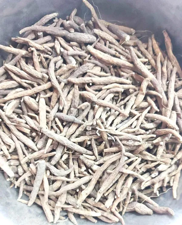 Vinarghya_–_Atees_Kadavi/_Ativisha_Kadwi/_Aruna/_Ghunapriya/_Aatich/_Ataicha/_Atis_Root/_Ativishni_Kali/_Ativikhani/_Athihage/_Kath/_Atividayam/_Atit_Kandi/_Atushi/_Atisa_–_20G