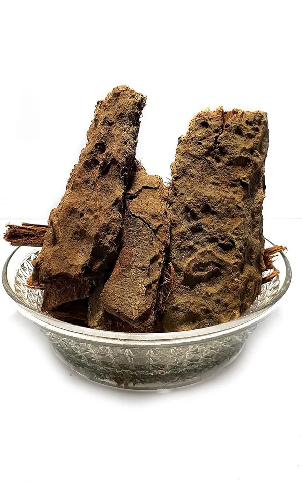 Vinarghya_–_Ashok_Chaal/_Ashoka/_Saraca_Asoca_Bark/_Asogam/_Asokam/_Sasubam/_Jasundi/_Asopllaka/_Shabuqa/_Asoku/_Sokanasa/_Vishoka_–_100Gm