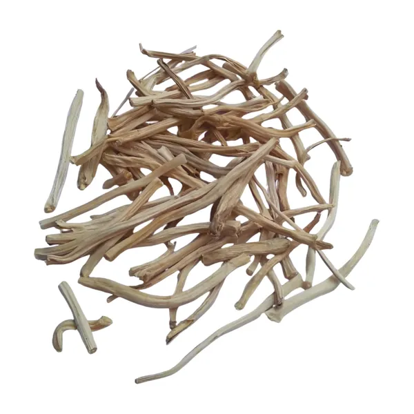 Vinarghya_-_Shatavari/_Shatavri/_Shatavar/_Indian_Aspragus/_Satavar/_Shatamuli_–_400G