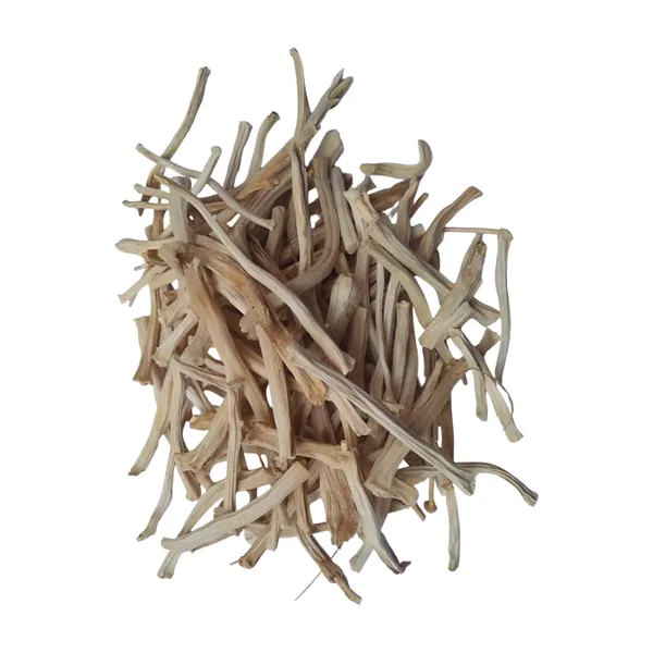 Vinarghya_-_Shatavari/_Shatavri/_Shatavar/_Indian_Aspragus/_Satavar/_Shatamuli_–_900G