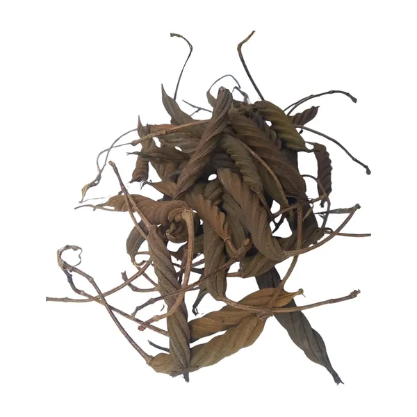 Vinarghya_–_Marodfalli/_Murad_Phalli/_Muradphalli/_Helicteres_Isora/_Marorphali/_Indian_Screw/_Marori/_Atmora/_Mriga_Shinga/_Muradsheng_–_900G