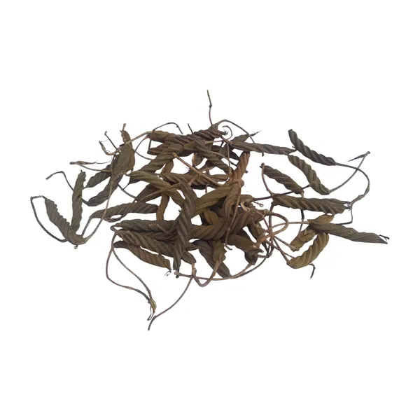 Vinarghya_–_Marodfalli/_Murad_Phalli/_Muradphalli/_Helicteres_Isora/_Marorphali/_Indian_Screw/_Marori/_Atmora/_Mriga_Shinga/_Muradsheng_–_900G