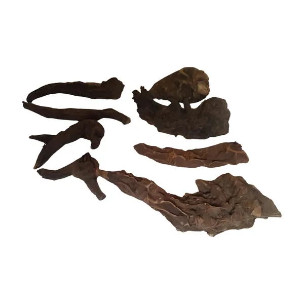 Vinarghya_–_Bachnag/_Bachanag/_Vatsanabha/_Vishkanya/_Vachnag/_Vasnoobhi/_Aconitum_Nepellus/_Mushkni/_Bochnag_–_100_Gm