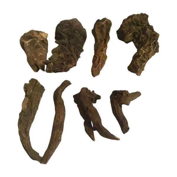 Vinarghya_–_Bachnag/_Bachanag/_Vatsanabha/_Vishkanya/_Vachnag/_Vasnoobhi/_Aconitum_Nepellus/_Mushkni/_Bochnag_–_100_Gm