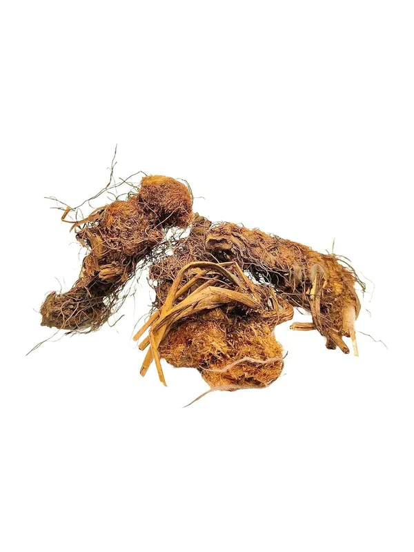 Vinarghya_–_Jatashankar_Roots/_Jatashankari_Herbs_–_100Gm