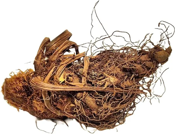 Vinarghya_–_Jatashankar_Roots/_Jatashankari_Herbs_–_100Gm