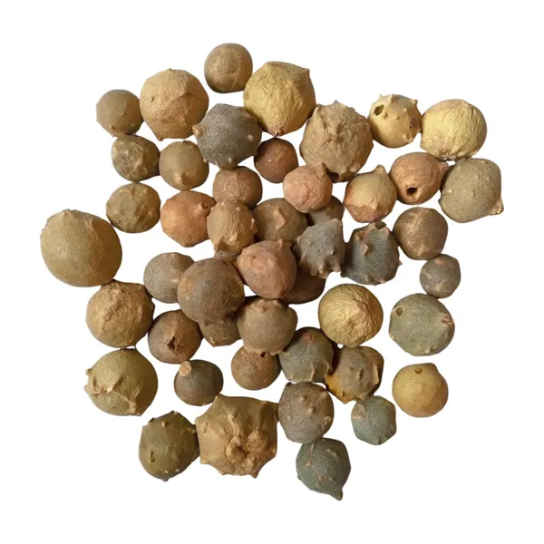 Vinarghya_–_Majuphal/_Manjuphal/_Majufal/_Mazu/_Quercus_Infectoria/_Mayaphala/_माजुफळ_–_400G
