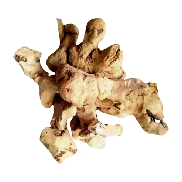 Vinarghya_–_Chopchini/_Madhusnuhi/_China_Root/_Bamboo_Bariar_Root/_Kashussini/_Gooti/_चोपचीनी_-_400G