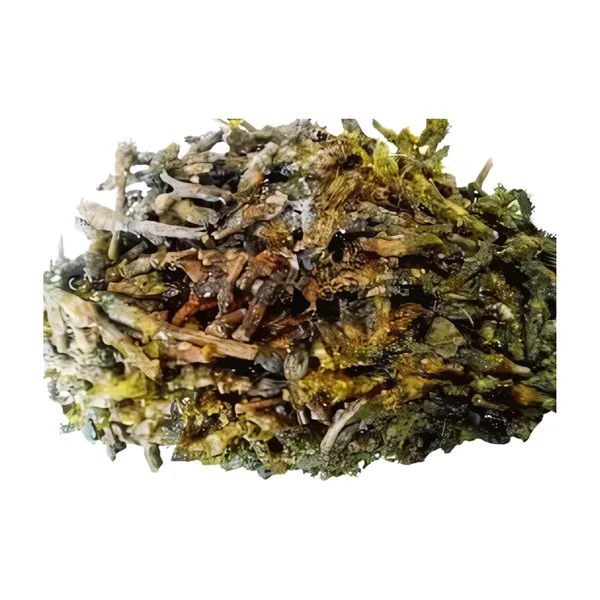 Vinarghya_–_Dikamali_Khada/_Brilliant_Gardenia_Gum/_Dikamari/_Gandharaja/_Kad_Bike/_Kalkambi/_Nadihingu/_Kambil/_Tikkamalli/_Cittamali_–_100_G