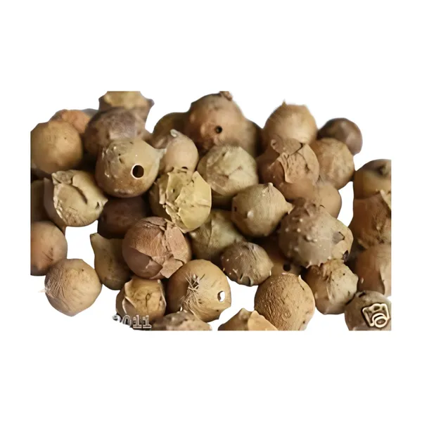 Vinarghya_–_Majuphal/_Manjuphal/_Majufal/_Mazu/_Quercus_Infectoria/_Mayaphala/_माजुफळ_–_900G