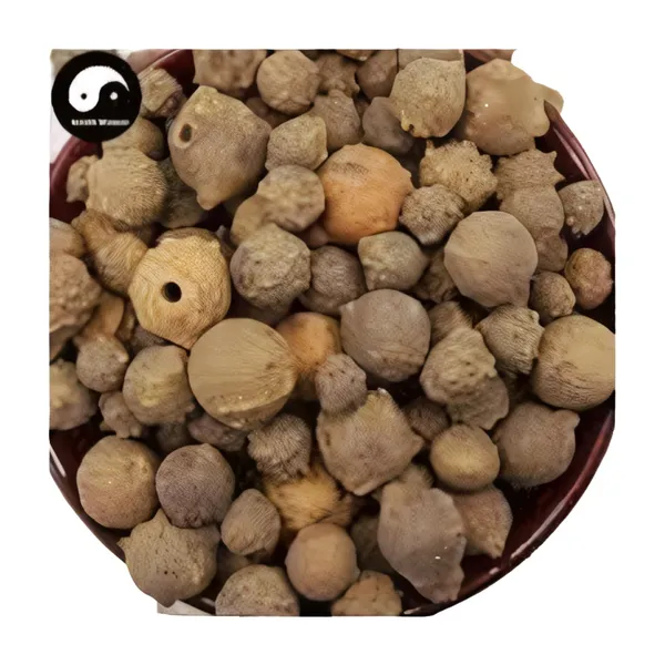 Vinarghya_–_Majuphal/_Manjuphal/_Majufal/_Mazu/_Quercus_Infectoria/_Mayaphala/_माजुफळ_–_900G