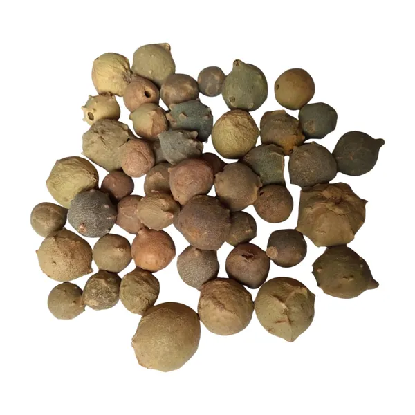 Vinarghya_–_Majuphal/_Manjuphal/_Majufal/_Mazu/_Quercus_Infectoria/_Mayaphala/_माजुफळ_–_900G