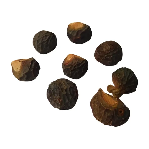 Vinarghya_–_Areetha/_Ritha/_Reetha/_Soap_Nut/_Kunkudukai/_Sapindus_Mukorossi/_रीठा_–_400G