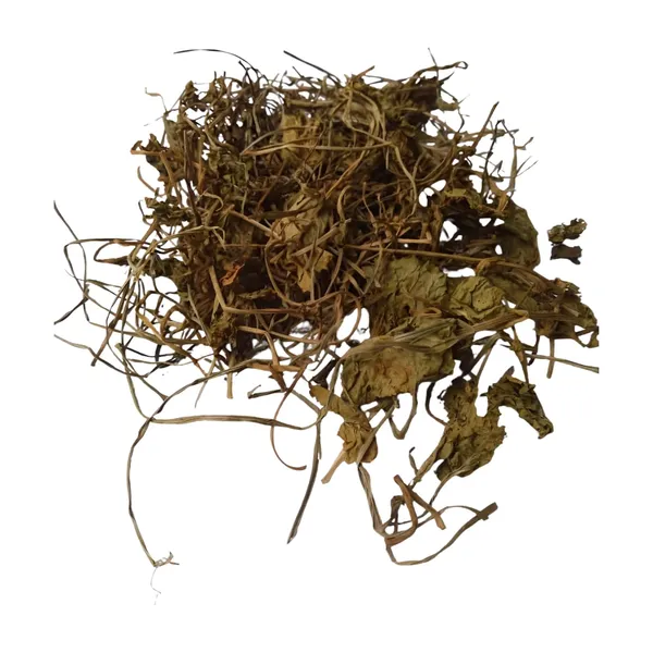 Vinarghya_–_Brahmi/_Bacopa_Monnieri/_Birami/_Sambarenu/_Jala_Brhami/_Neer_Brahmi_/_ब्राह्मी_–_900G