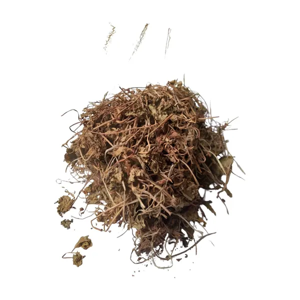 Vinarghya_–_Brahmi/_Bacopa_Monnieri/_Birami/_Sambarenu/_Jala_Brhami/_Neer_Brahmi_/_ब्राह्मी_–_900G