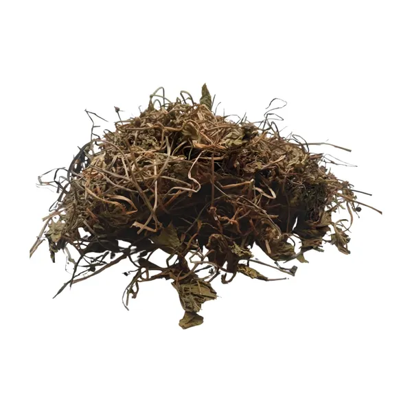 Vinarghya_–_Brahmi/_Bacopa_Monnieri/_Birami/_Sambarenu/_Jala_Brhami/_Neer_Brahmi_/_ब्राह्मी_–_900G