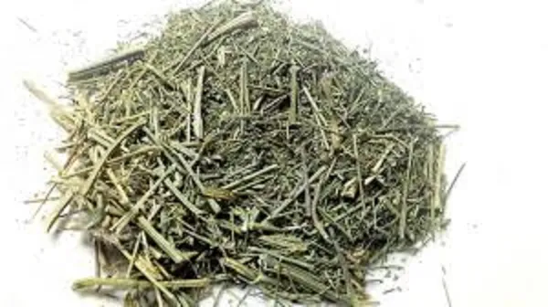 Vinarghya_–_Kadu_Chiraita_Ghiraita/_Swertia_Chirata/_Kalmegh/_Chiretta/_Kiraita/_Kariyatum/_Nilabevu/_Kiratatikta/_Nilavippa/_Nilavemu_–_900G