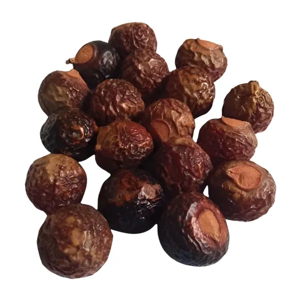 Vinarghya_–_Bada_Reetha/_Organic_Big_Ritha/_Areetha/_Herbal_Soap_Nut/_Kunkudukai/_Sapindus_Mukorossi_–_900G