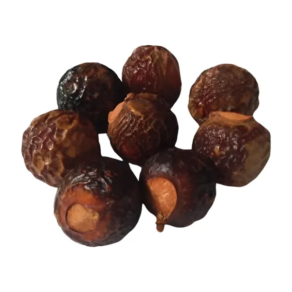 Vinarghya_–_Bada_Reetha/_Organic_Big_Ritha/_Areetha/_Herbal_Soap_Nut/_Kunkudukai/_Sapindus_Mukorossi_–_900G