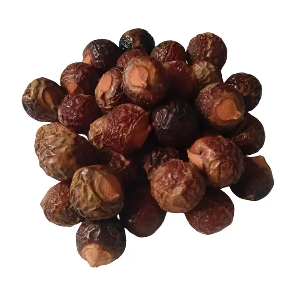 Vinarghya_–_Bada_Reetha/_Organic_Big_Ritha/_Areetha/_Herbal_Soap_Nut/_Kunkudukai/_Sapindus_Mukorossi_–_900G