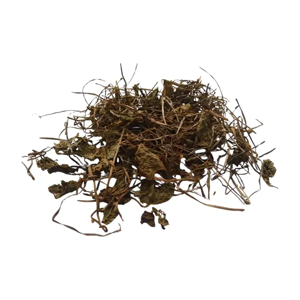 Vinarghya_–_Brahmi/_Bacopa_Monnieri/_Birami/_Sambarenu/_Jala_Brhami/_Neer_Brahmi_–_400G