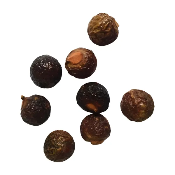 Vinarghya_–_Big_Soap_Nut/_Organic_Big_Reetha/_Areetha/_Herbal_Ritha/_Kunkudukai/_Sapindus_Mukorossi_–_400G