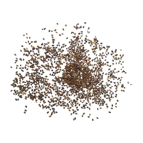 Vinarghya_–_Chia_Seeds/_Salba/_Salvia_Hispanica/_Sabja/_Tukamrai/_Tukkamrai/_Sweet_Basil/_Faluda_-_400Gm