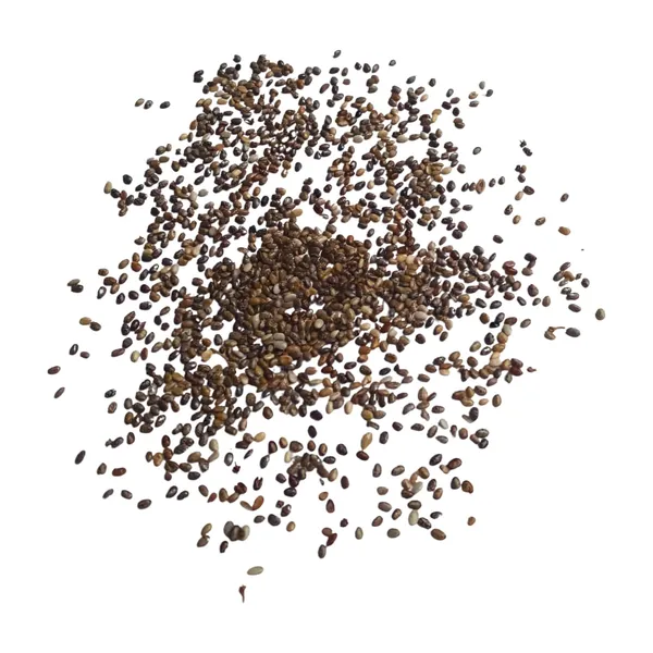 Vinarghya_–_Chia_Seeds/_Salba/_Salvia_Hispanica/_Sabja/_Tukamrai/_Tukkamrai/_Sweet_Basil/_Faluda_-_900Gm