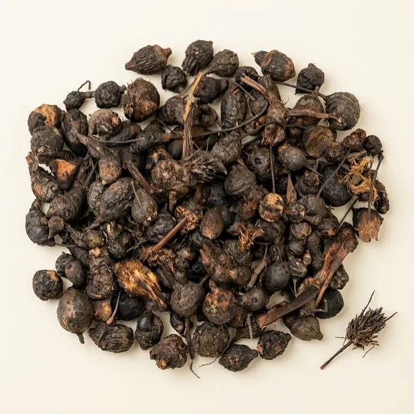 Unknown_–_Nut_Grass/_Nagarmotha/_Java_Grass/_Purple_Nutsedge/_So_Ab_Kufi/_Musta/_Cyperus_Rotundus/_नागरमोथा_–_400G